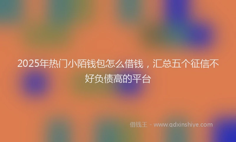 2025年热门小陌钱包怎么借钱，汇总五个征信不好负债高的平台
