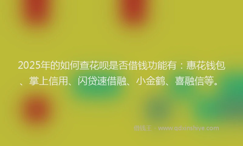 2025年的如何查花呗是否借钱功能有：惠花钱包、掌上信用、闪贷速借融、小金鹤、喜融信等。