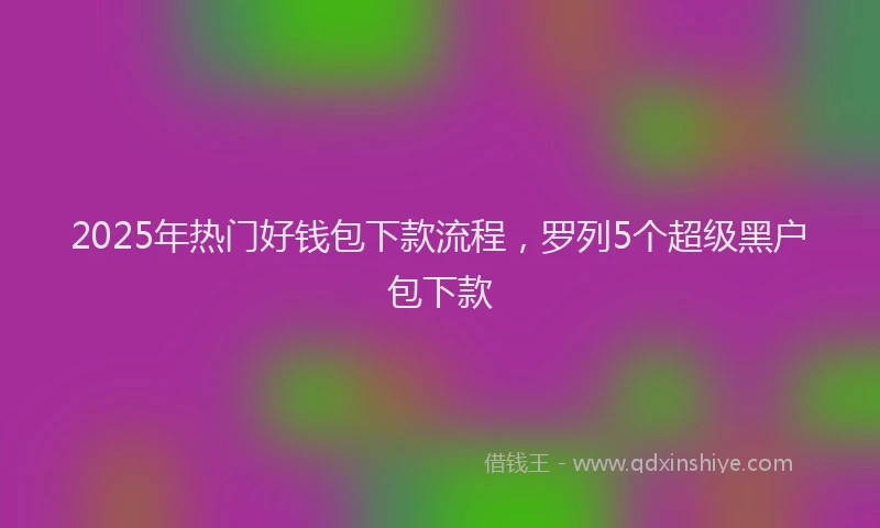 2025年热门好钱包下款流程，罗列5个超级黑户包下款