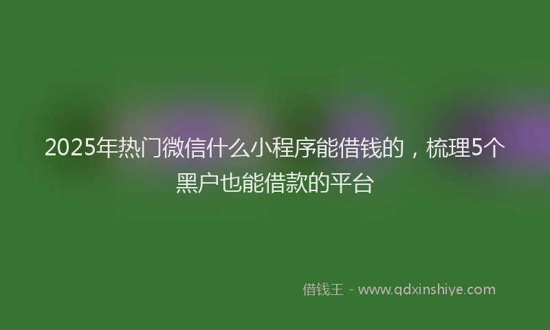 2025年热门微信什么小程序能借钱的，梳理5个黑户也能借款的平台