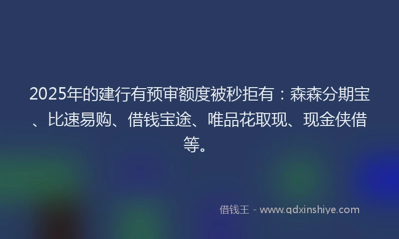 2025年的建行有预审额度被秒拒有：森森分期宝、比速易购、借钱宝途、唯品花取现、现金侠借等。