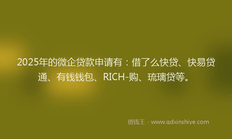 2025年的微企贷款申请有：借了么快贷、快易贷通、有钱钱包、RICH-购、琉璃贷等。