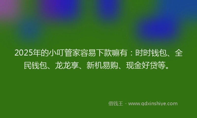2025年的小叮管家容易下款嘛有：时时钱包、全民钱包、龙龙享、新机易购、现金好贷等。
