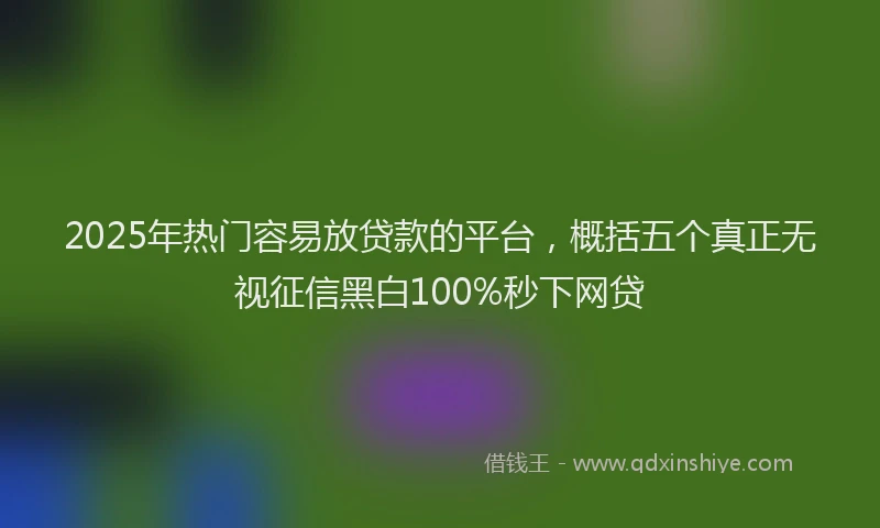 2025年热门容易放贷款的平台，概括五个真正无视征信黑白100%秒下网贷
