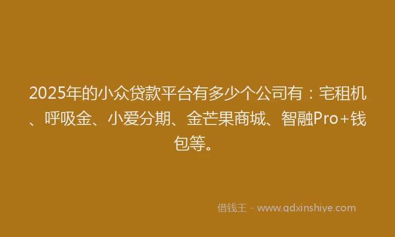 2025年的小众贷款平台有多少个公司有：宅租机、呼吸金、小爱分期、金芒果商城、智融Pro+钱包等。