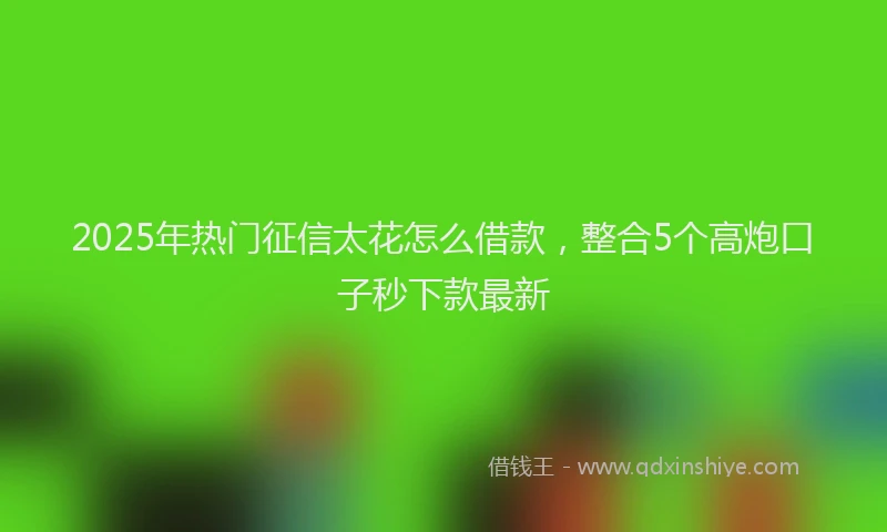 2025年热门征信太花怎么借款，整合5个高炮口子秒下款最新