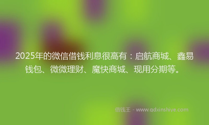 2025年的微信借钱利息很高有：启航商城、鑫易钱包、微微理财、魔快商城、现用分期等。