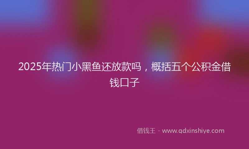 2025年热门小黑鱼还放款吗，概括五个公积金借钱口子