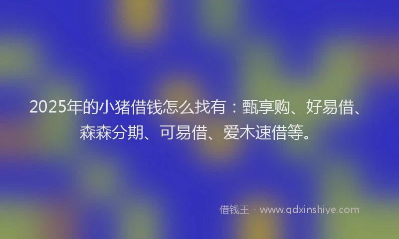 2025年的小猪借钱怎么找有：甄享购、好易借、森森分期、可易借、爱木速借等。