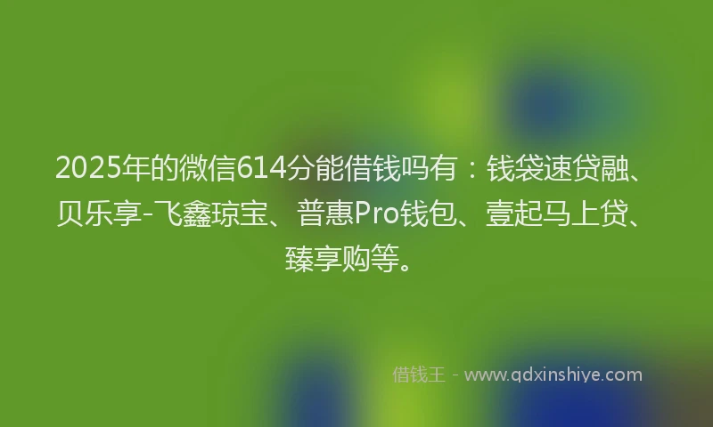 2025年的微信614分能借钱吗有：钱袋速贷融、贝乐享-飞鑫琼宝、普惠Pro钱包、壹起马上贷、臻享购等。