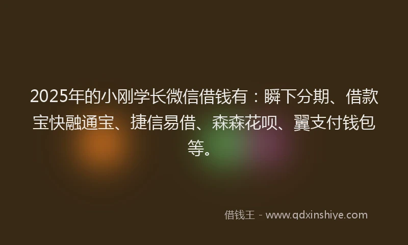 2025年的小刚学长微信借钱有：瞬下分期、借款宝快融通宝、捷信易借、森森花呗、翼支付钱包等。