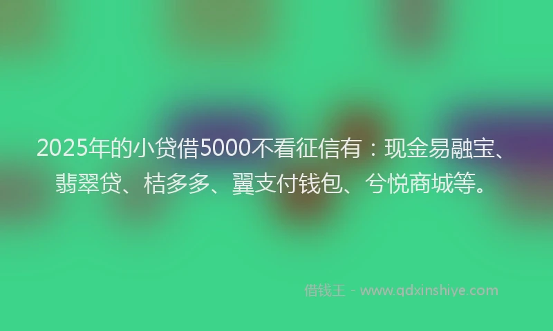 2025年的小贷借5000不看征信有：现金易融宝、翡翠贷、桔多多、翼支付钱包、兮悦商城等。