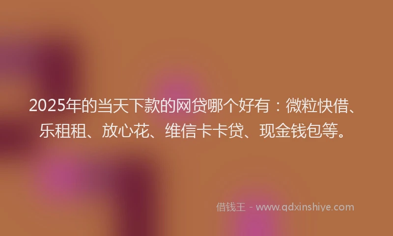 2025年的当天下款的网贷哪个好有：微粒快借、乐租租、放心花、维信卡卡贷、现金钱包等。