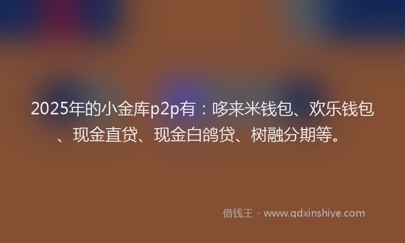 2025年的小金库p2p有：哆来米钱包、欢乐钱包、现金直贷、现金白鸽贷、树融分期等。