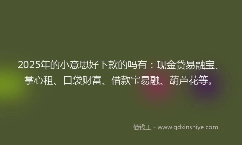 2025年的小意思好下款的吗有：现金贷易融宝、掌心租、口袋财富、借款宝易融、葫芦花等。
