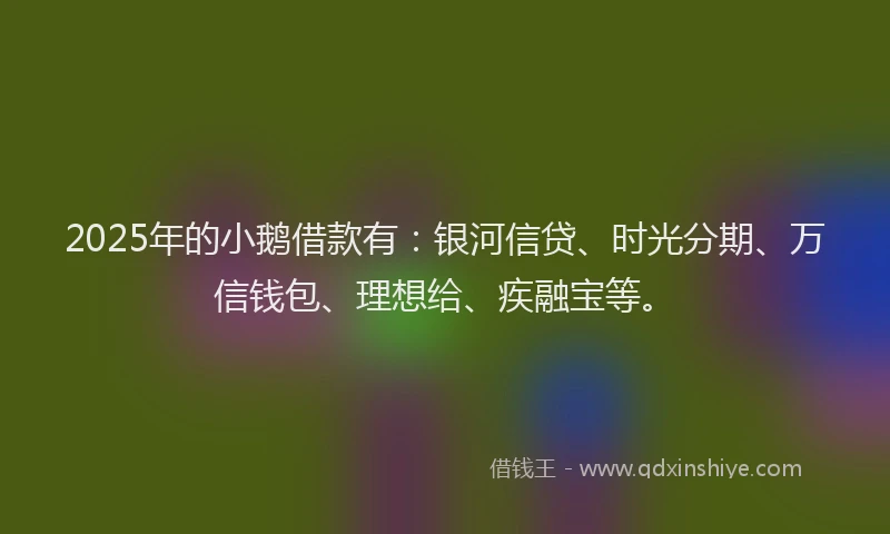 2025年的小鹅借款有：银河信贷、时光分期、万信钱包、理想给、疾融宝等。