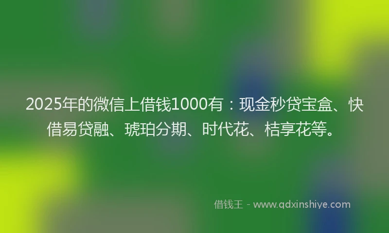 2025年的微信上借钱1000有：现金秒贷宝盒、快借易贷融、琥珀分期、时代花、桔享花等。