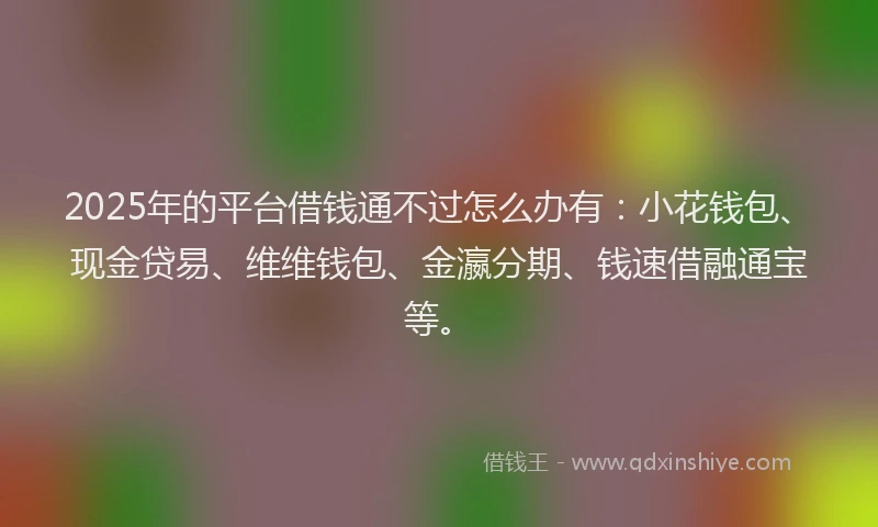 2025年的平台借钱通不过怎么办有：小花钱包、现金贷易、维维钱包、金瀛分期、钱速借融通宝等。