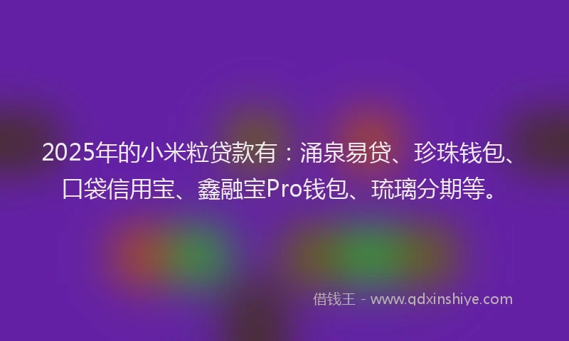 2025年的小米粒贷款有：涌泉易贷、珍珠钱包、口袋信用宝、鑫融宝Pro钱包、琉璃分期等。