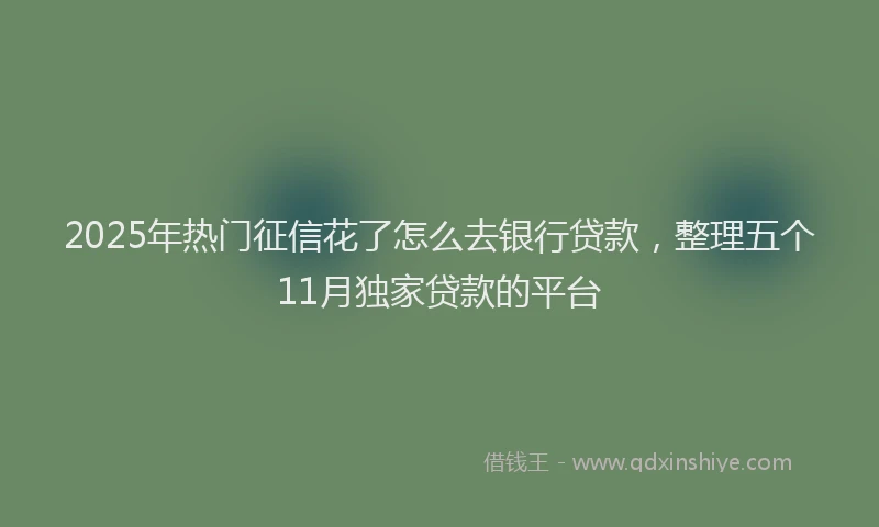 2025年热门征信花了怎么去银行贷款，整理五个11月独家贷款的平台