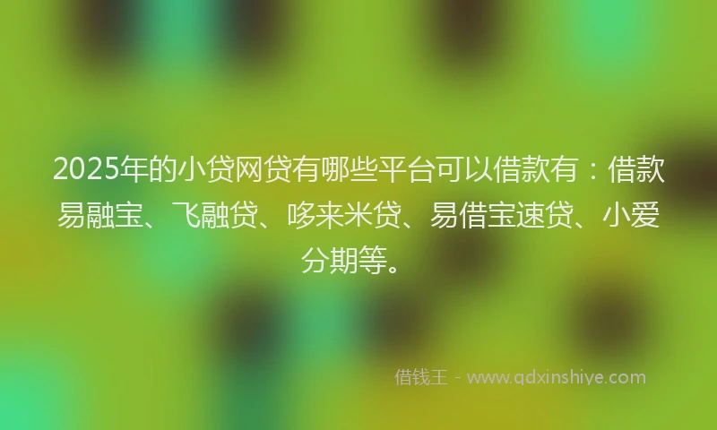 2025年的小贷网贷有哪些平台可以借款有：借款易融宝、飞融贷、哆来米贷、易借宝速贷、小爱分期等。