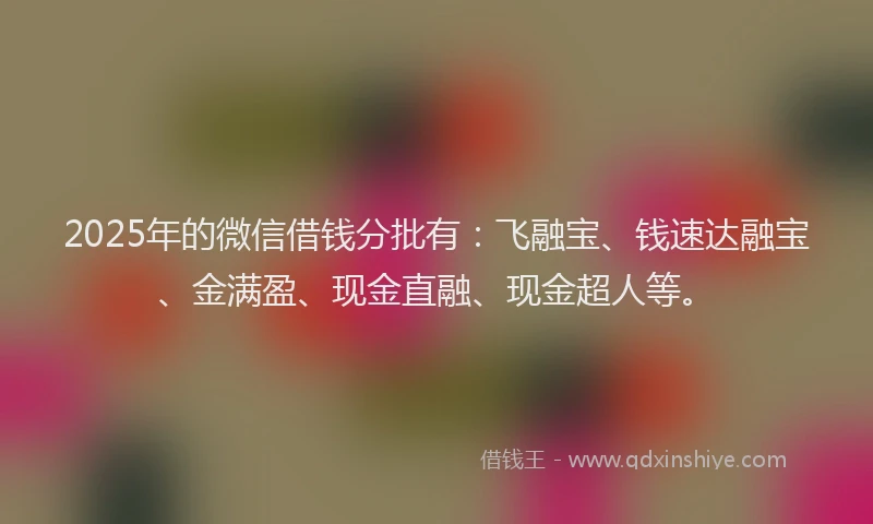 2025年的微信借钱分批有：飞融宝、钱速达融宝、金满盈、现金直融、现金超人等。