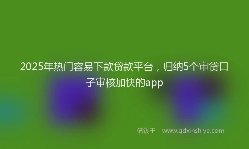 2025年热门容易下款贷款平台，归纳5个审贷口子审核加快的app