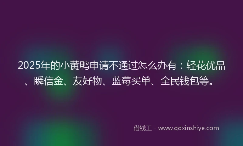 2025年的小黄鸭申请不通过怎么办有：轻花优品、瞬信金、友好物、蓝莓买单、全民钱包等。
