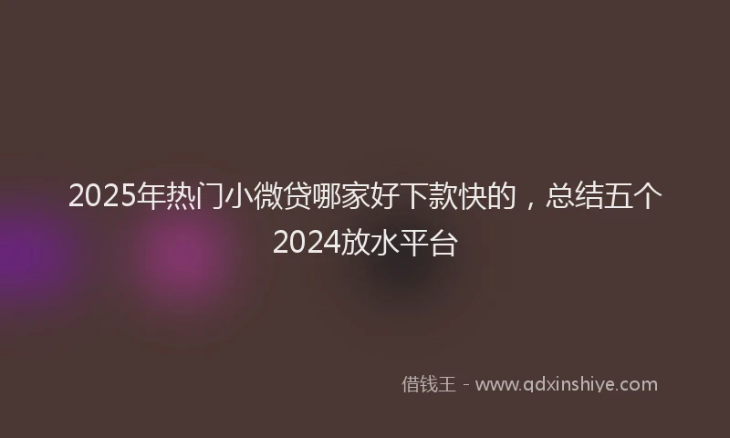 2025年热门小微贷哪家好下款快的，总结五个2024放水平台