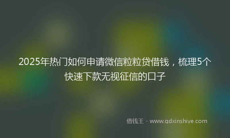 2025年热门如何申请微信粒粒贷借钱，梳理5个快速下款无视征信的口子