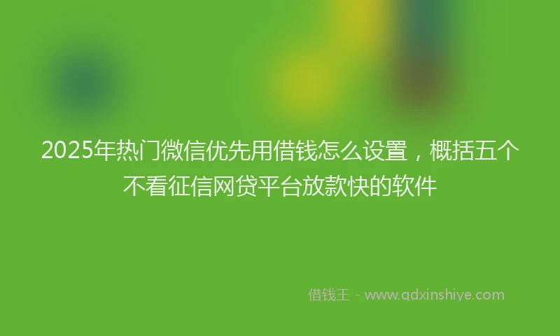 2025年热门微信优先用借钱怎么设置，概括五个不看征信网贷平台放款快的软件
