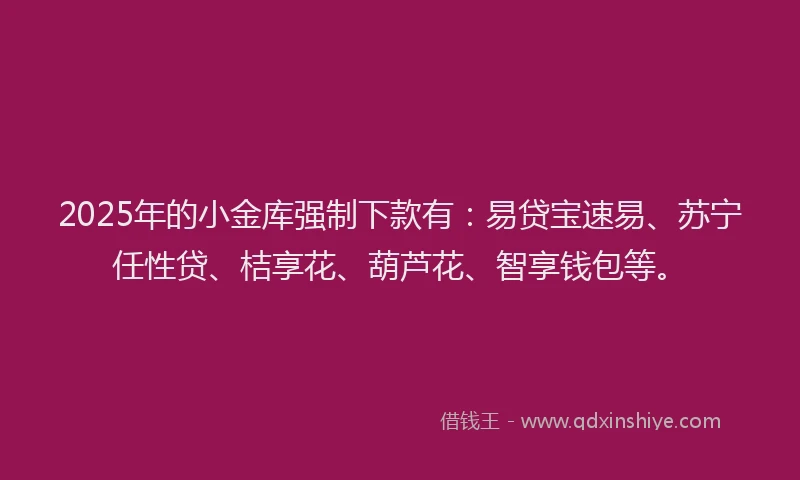 2025年的小金库强制下款有：易贷宝速易、苏宁任性贷、桔享花、葫芦花、智享钱包等。