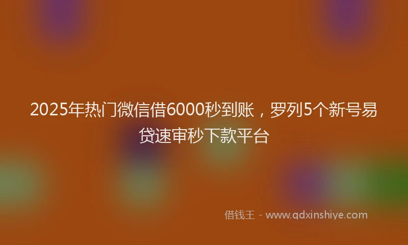 2025年热门微信借6000秒到账，罗列5个新号易贷速审秒下款平台