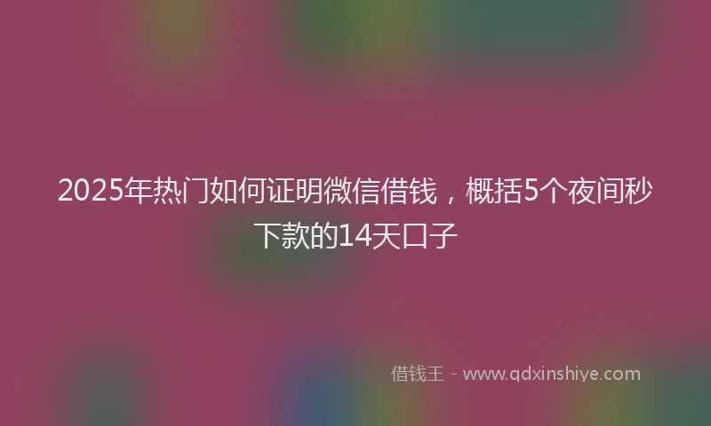 2025年热门如何证明微信借钱，概括5个夜间秒下款的14天口子