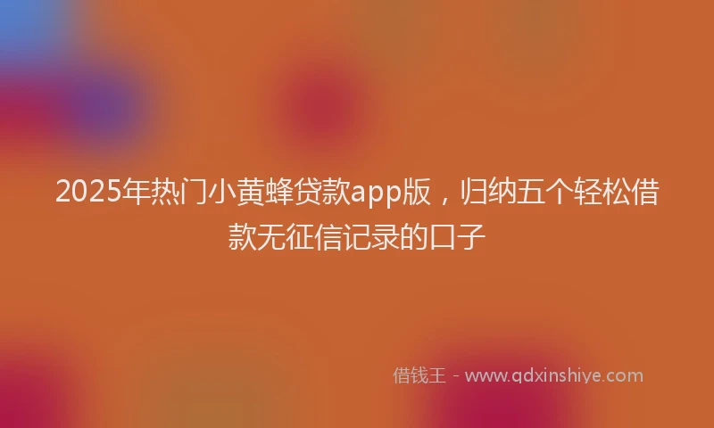2025年热门小黄蜂贷款app版，归纳五个轻松借款无征信记录的口子