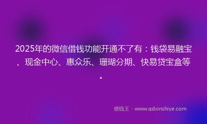 2025年的微信借钱功能开通不了有：钱袋易融宝、现金中心、惠众乐、珊瑚分期、快易贷宝盒等。