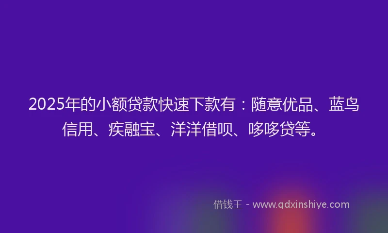 2025年的小额贷款快速下款有：随意优品、蓝鸟信用、疾融宝、洋洋借呗、哆哆贷等。