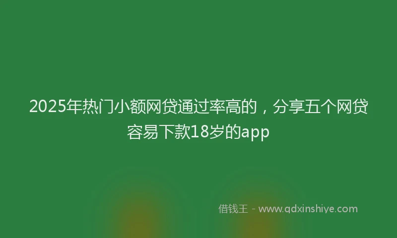 2025年热门小额网贷通过率高的，分享五个网贷容易下款18岁的app