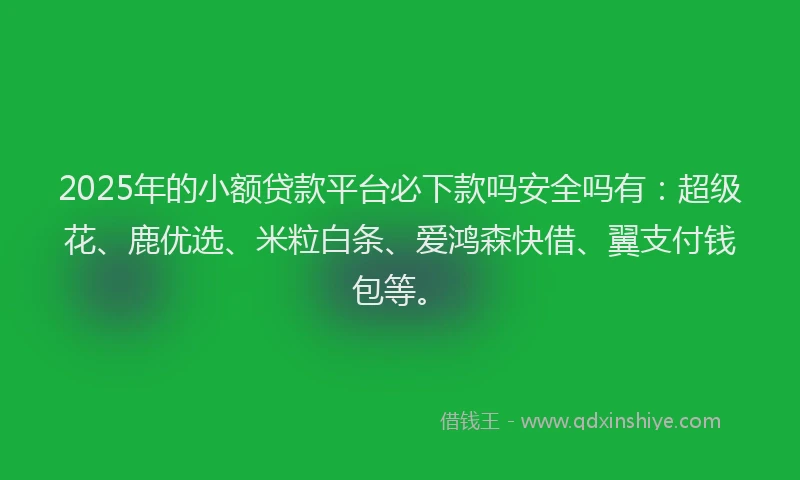2025年的小额贷款平台必下款吗安全吗有：超级花、鹿优选、米粒白条、爱鸿森快借、翼支付钱包等。