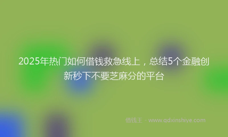 2025年热门如何借钱救急线上，总结5个金融创新秒下不要芝麻分的平台