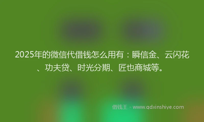 2025年的微信代借钱怎么用有：瞬信金、云闪花、功夫贷、时光分期、匠也商城等。