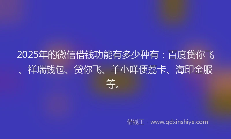 2025年的微信借钱功能有多少种有：百度贷你飞、祥瑞钱包、贷你飞、羊小咩便荔卡、海印金服等。