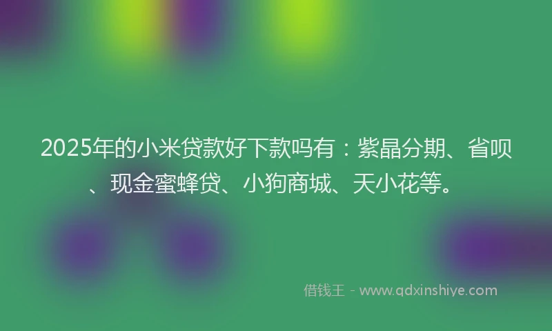 2025年的小米贷款好下款吗有：紫晶分期、省呗、现金蜜蜂贷、小狗商城、天小花等。