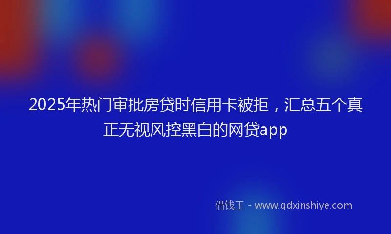 2025年热门审批房贷时信用卡被拒，汇总五个真正无视风控黑白的网贷app