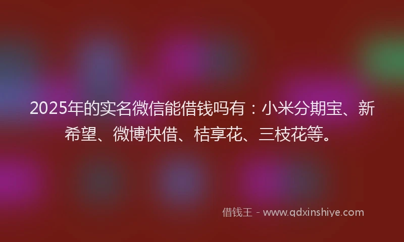 2025年的实名微信能借钱吗有：小米分期宝、新希望、微博快借、桔享花、三枝花等。