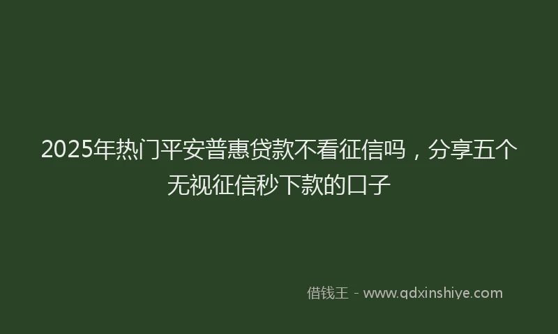 2025年热门平安普惠贷款不看征信吗，分享五个无视征信秒下款的口子
