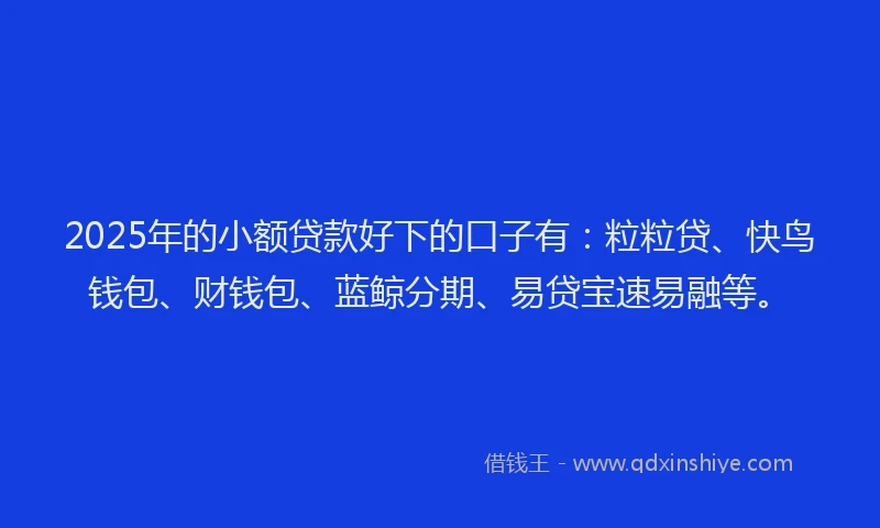 2025年的小额贷款好下的口子有：粒粒贷、快鸟钱包、财钱包、蓝鲸分期、易贷宝速易融等。