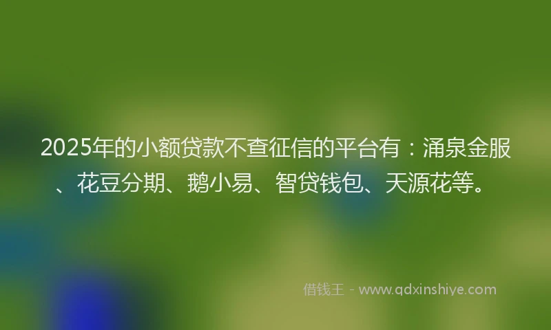 2025年的小额贷款不查征信的平台有：涌泉金服、花豆分期、鹅小易、智贷钱包、天源花等。