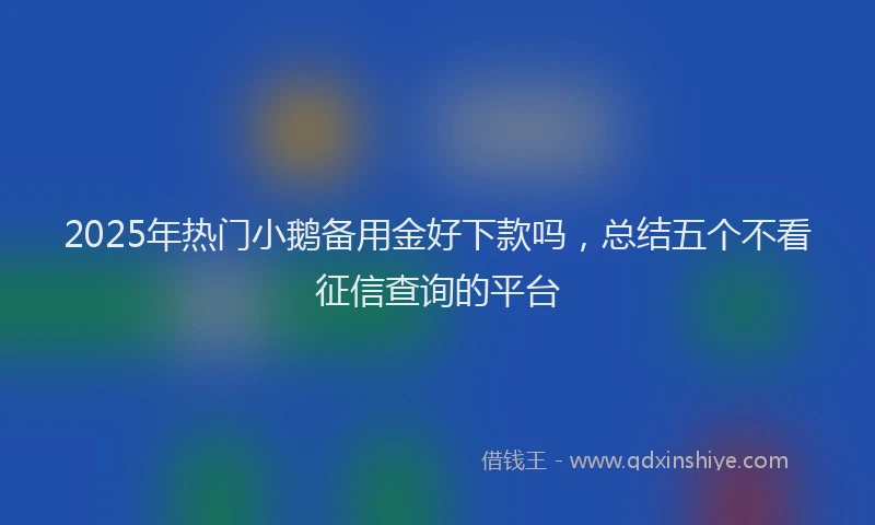 2025年热门小鹅备用金好下款吗，总结五个不看征信查询的平台