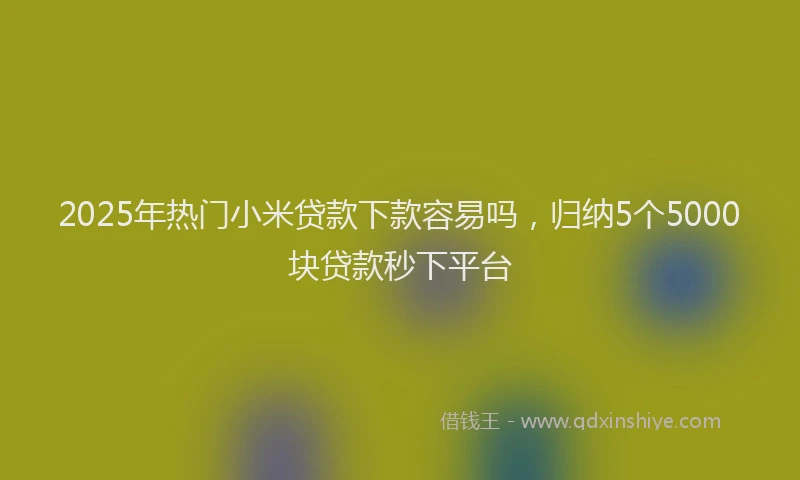 2025年热门小米贷款下款容易吗，归纳5个5000块贷款秒下平台